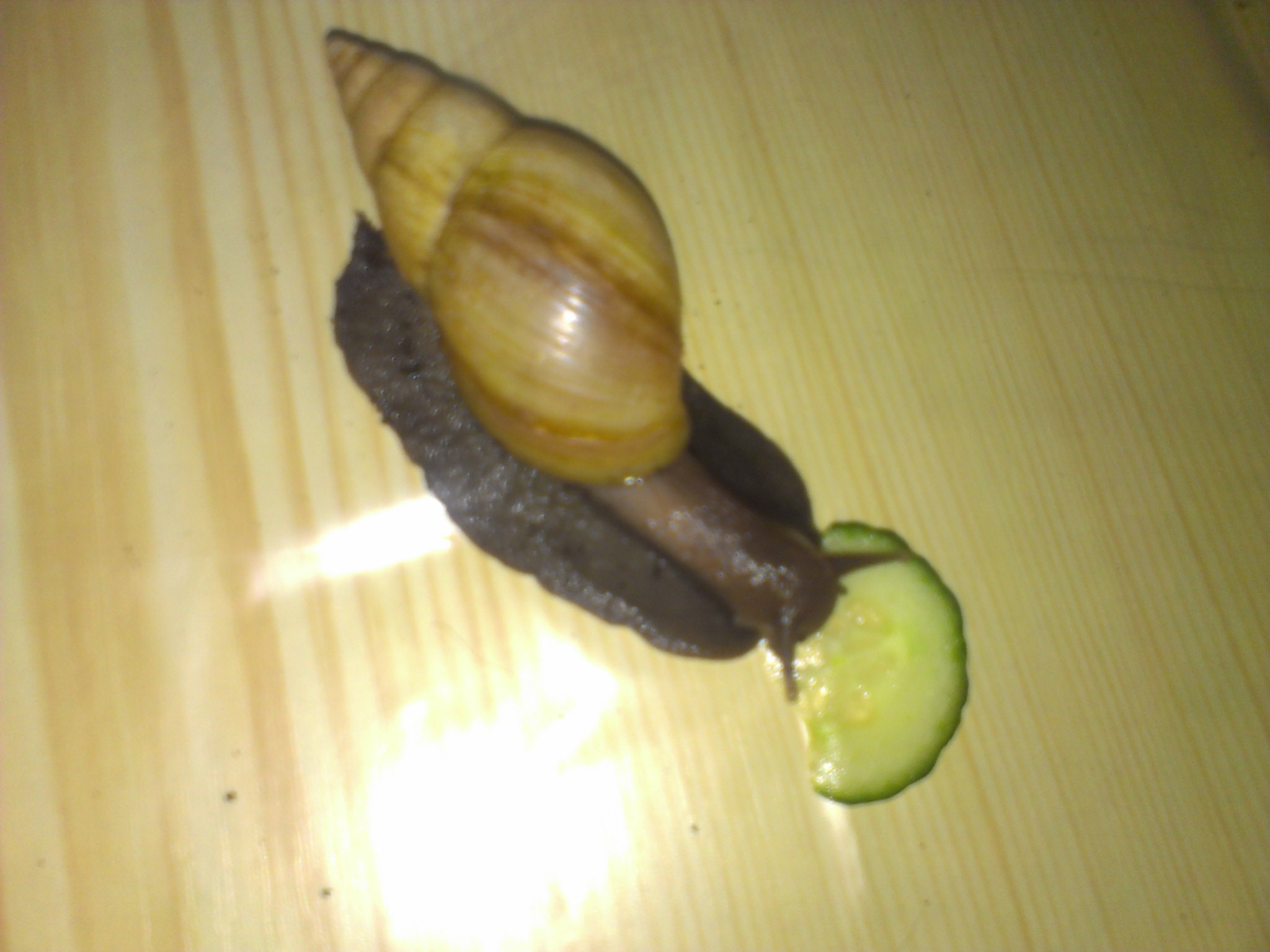 IMAG0089
